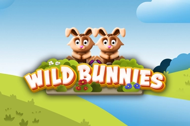00571 wild bunnies