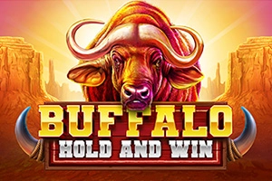 03147 buffalo hold and win
